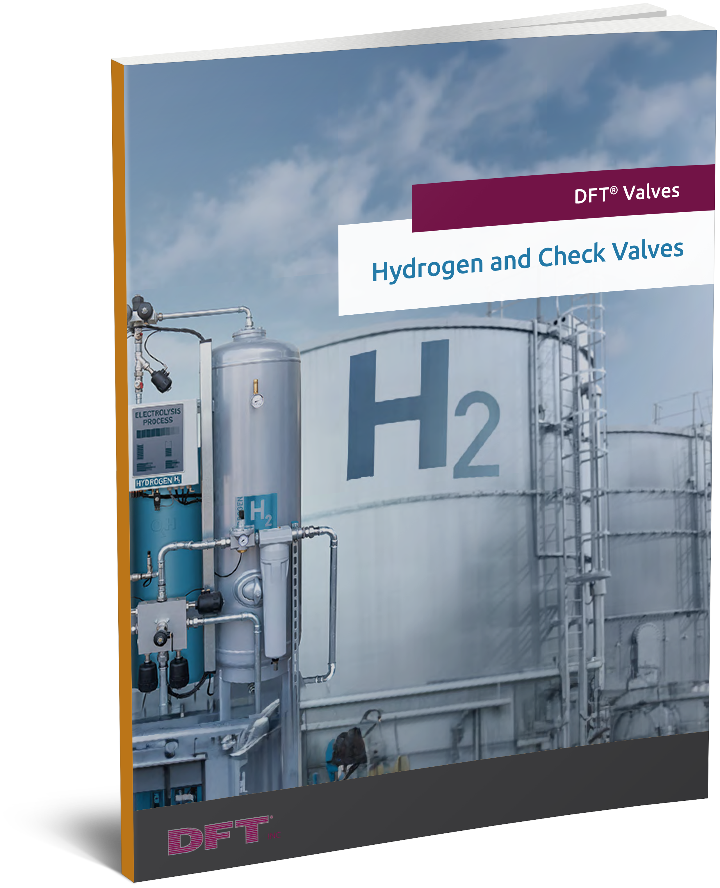 3D-cover-Hydrogen-and-Check-Valves