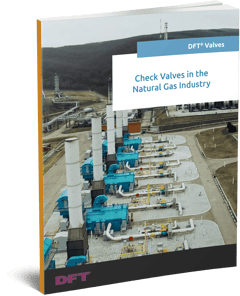 Check Valves in the Natural Gas Industry