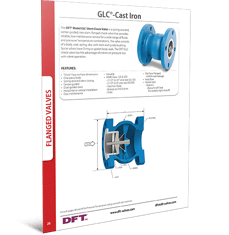 DFT- GLC Cast Iron check valve