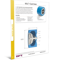 DFT- WLC Cast Iron check valve