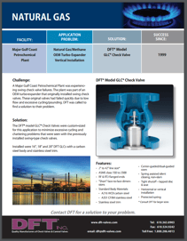 DFT_Natural_Gas_AppGuide_2-1.png