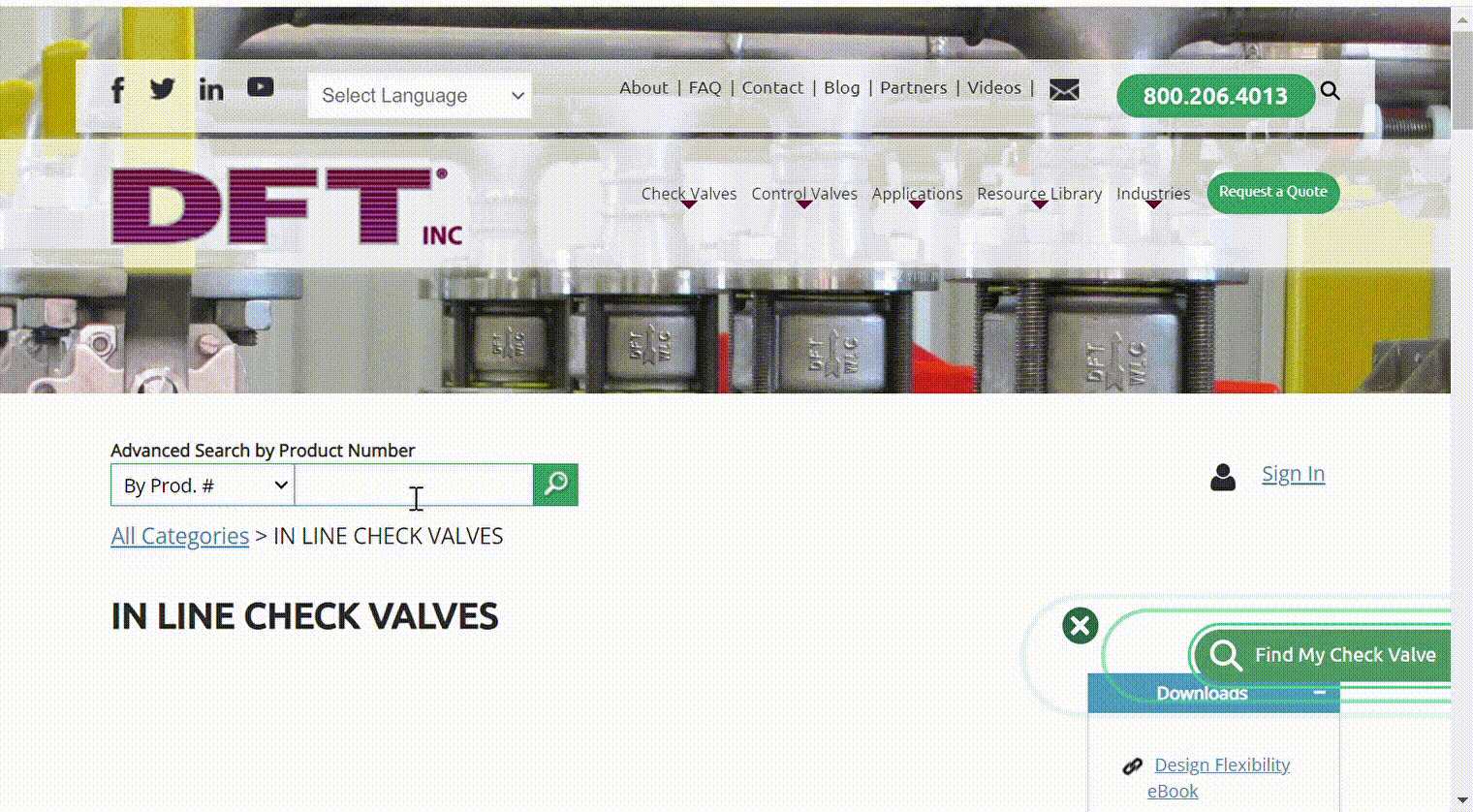 IN LINE CHECK VALVES On DFT Inc